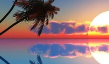 阅读让我领悟生活