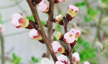 一路走来感谢有您