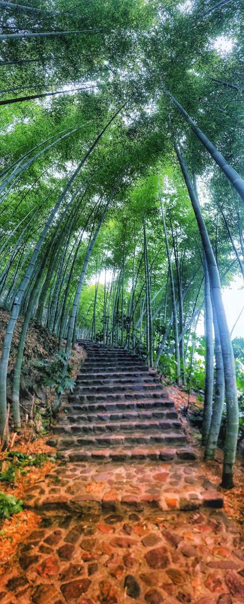 宜兴竹海一日游