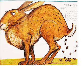 教学声音