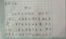 什么是一种最美的生命姿态作文