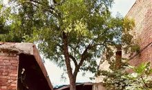 童年记忆的老屋