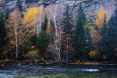 最美丽的是秋天