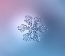 雪花的梦想