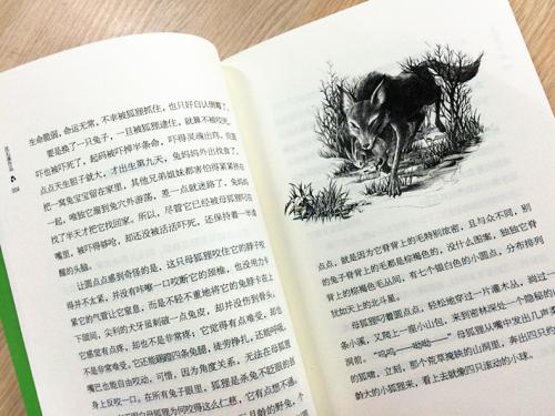 关于阅读《兔子王点点》的思考