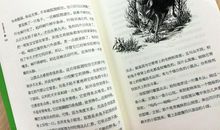 读《兔王圆点点》有感