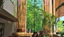 推荐一个好地方莫干山作文