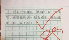 那一刻我真什么作文