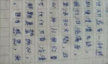 安塞腰鼓仿写200字