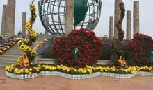 我爱故乡的梨树