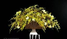 慢访转瞬即逝的生命