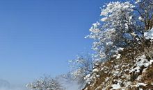 如果冬天没有雪