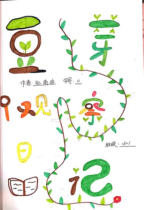 小豆芽的生长