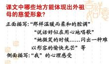 童年的朋友作文