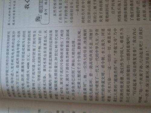 什么是最珍贵的500字构图