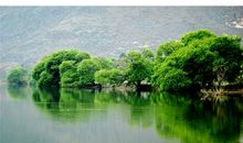 这里的景色真美