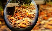 我把秋天装进瓶子