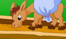 自作聪明的小毛驴