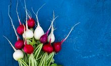 蓝色萝卜读后感