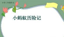 小蚂蚁回家的作文