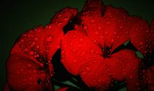 我与雨的亲密接触