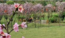 不要辜负美好的春光