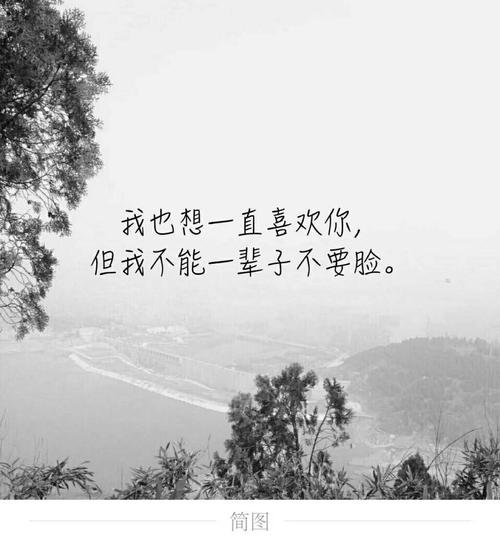 我不想因为爱而放弃