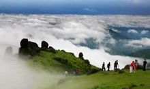 迷人的梦中仙境