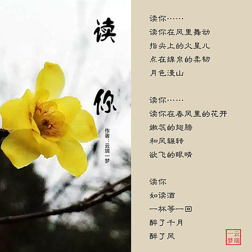 我从梦中走到现在