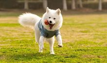 对我影响最深的人