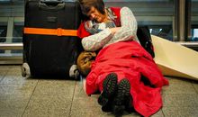 周末怎一个烦字了得