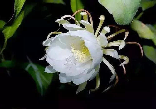 我喜欢的顿悟