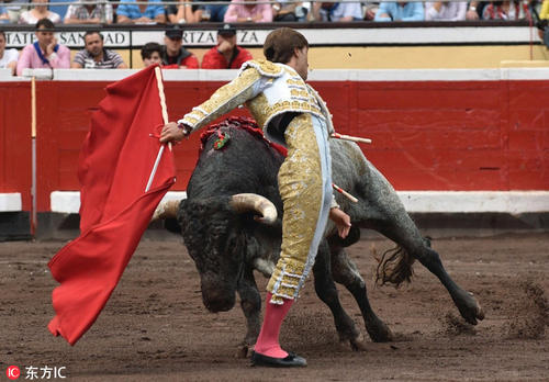 激烈的斗牛比赛