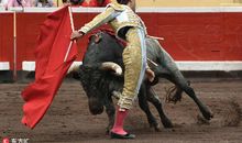 激烈的斗牛比赛