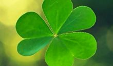 我种下了一颗梦想的种子