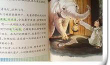 善良的动物残忍的人读后感