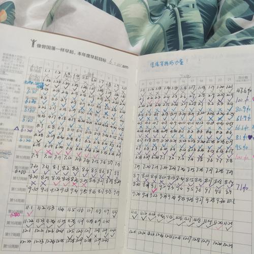 2019我的年度关键词