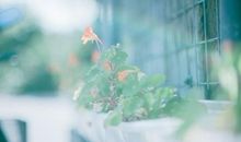 让我们的青春充满阳光