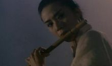 白鹤悠悠豆腐香