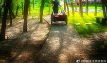 外婆家门前的池塘