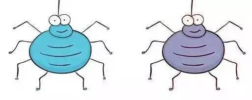 指导比纪律更重要