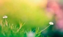 谢谢你给了我爱与温暖