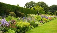 田园生活多美好