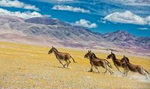 有一种幸福叫做感动