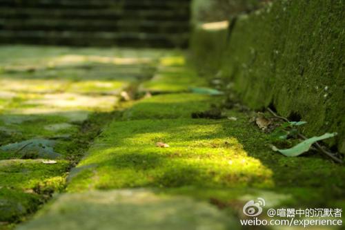 雨留在记忆中