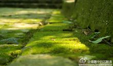 留在记忆里的雨