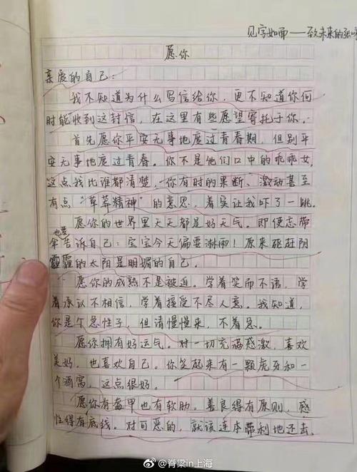 给我未来自我的一封信