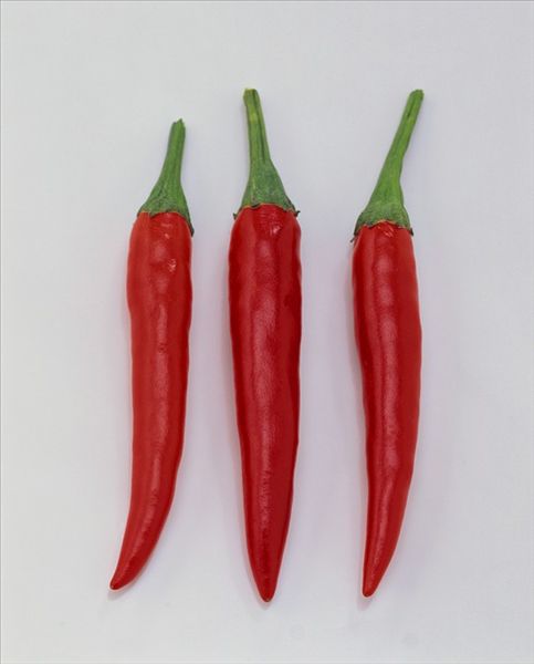 辣椒