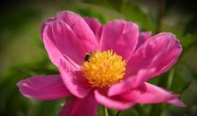 读你作文800字记叙文