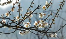 凡事都有第一次